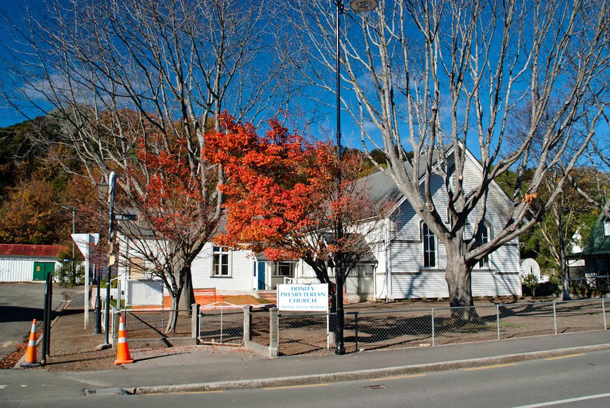 Orange and Grey
