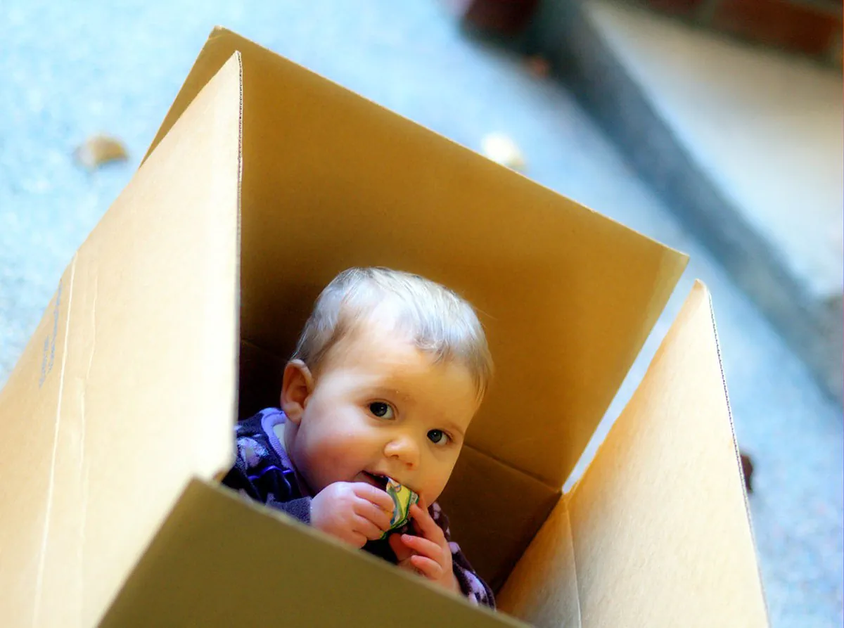 'We're Moving!'