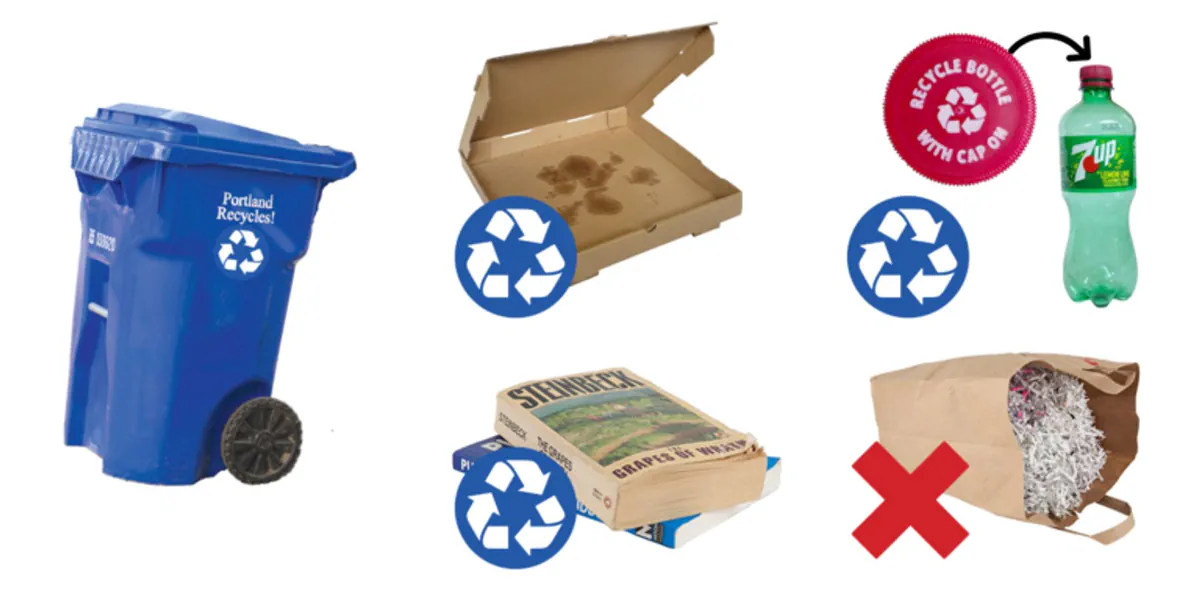 Recycling bin beside a pizza box, books, a bottle and shredded paper.