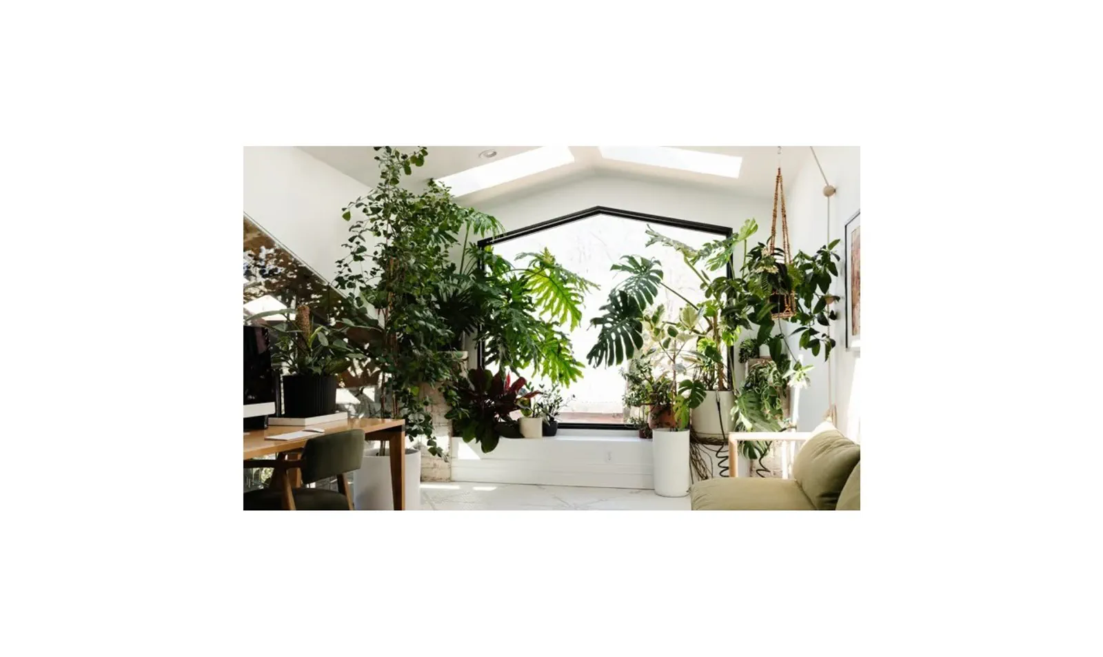 Andersen Windows and Doors
